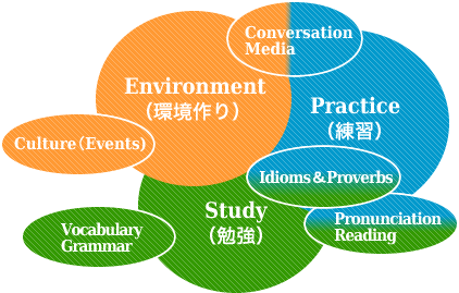 The THREE Most Important Factors（英語の正確な学習に向けた三大要素） 